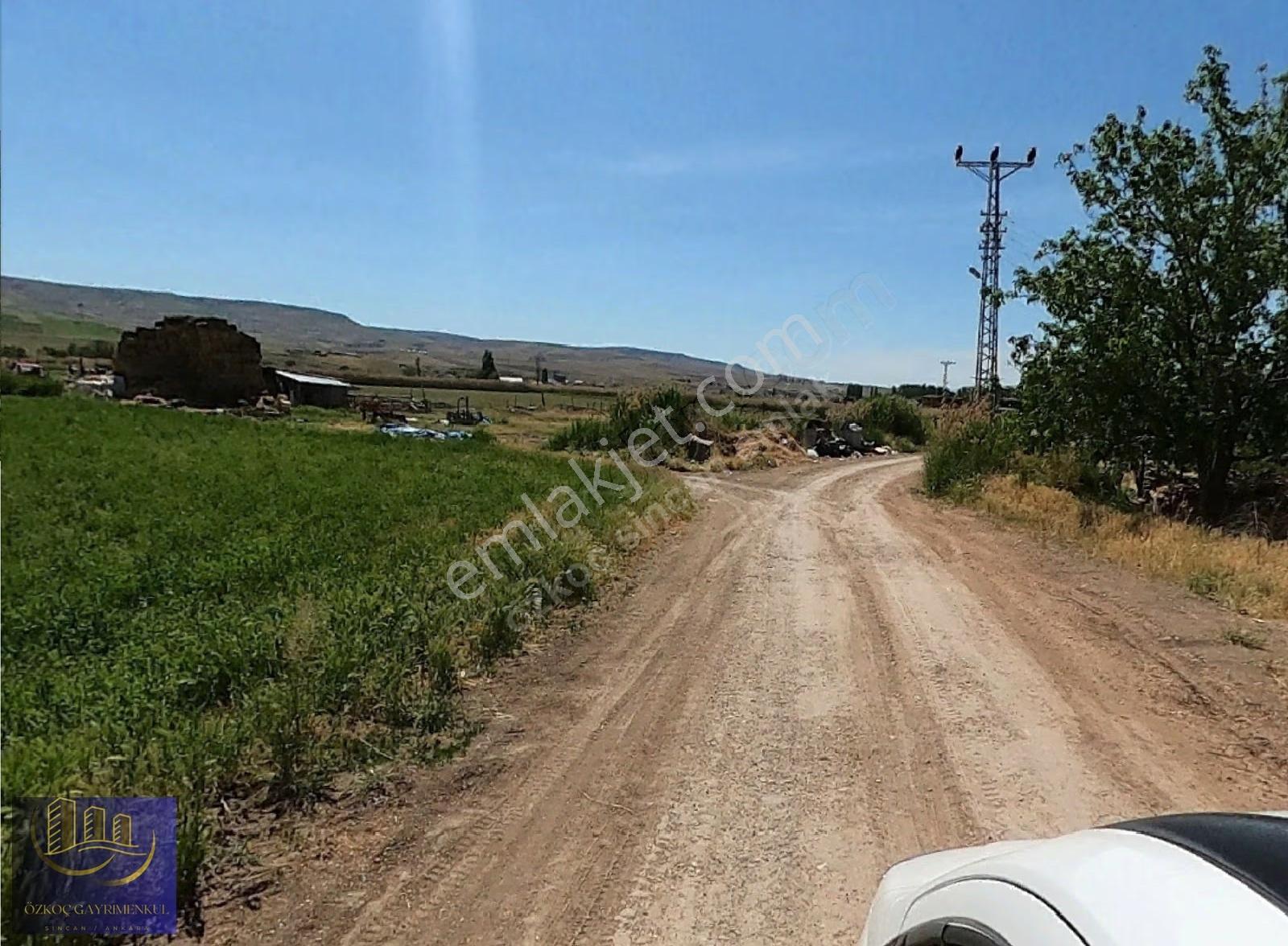 Özkoç'tan Güneyce'de 4200m² Kadastro Yoluna Cephe Tek Tapu Arazi - Görsel 34