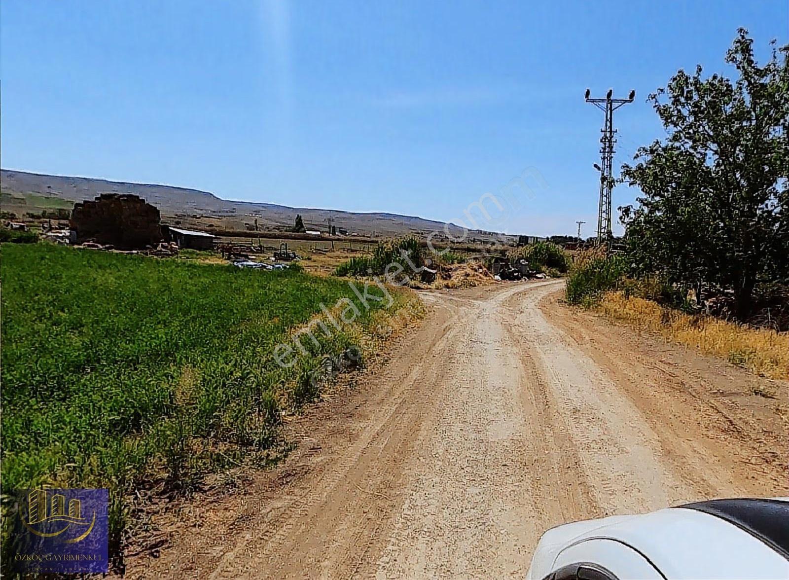 Özkoç'tan Güneyce'de 4200m² Kadastro Yoluna Cephe Tek Tapu Arazi - Görsel 24