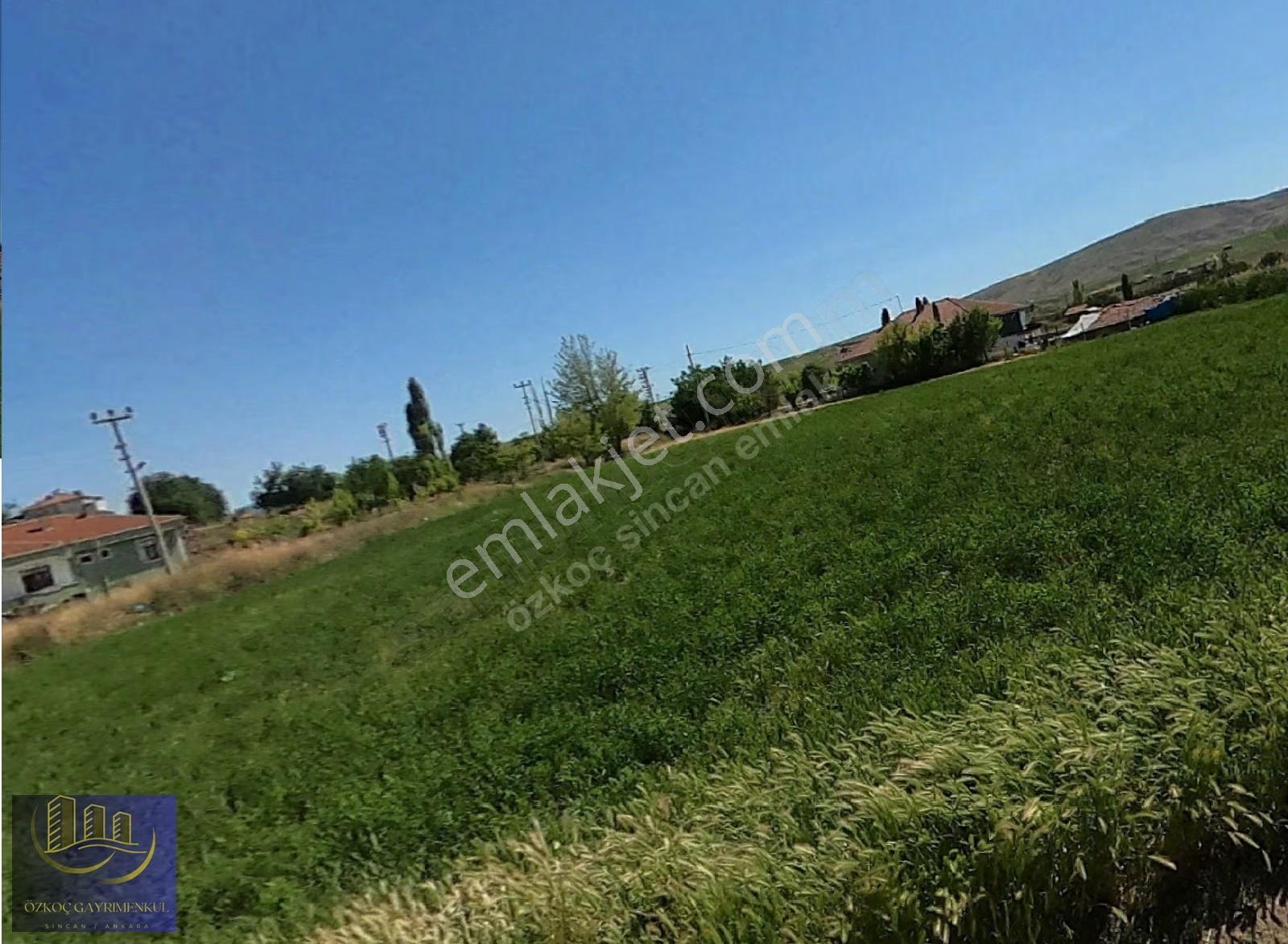 Özkoç'tan Güneyce'de 4200m² Kadastro Yoluna Cephe Tek Tapu Arazi - Görsel 23