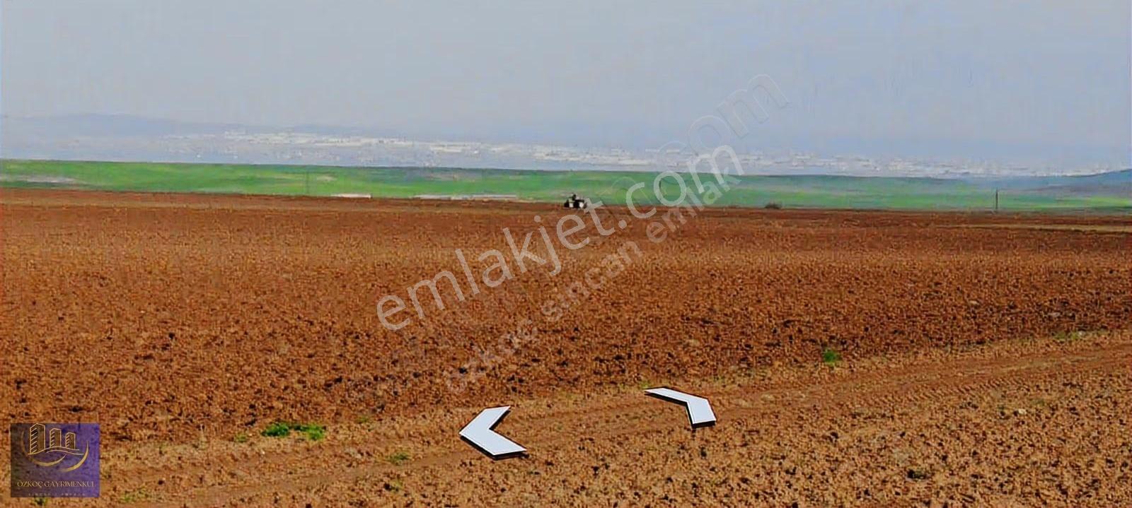 Ayaş Tekke Gülören 101 Ada 5 Parsel 1.000m² Emsalsiz Fiyat - Görsel 2