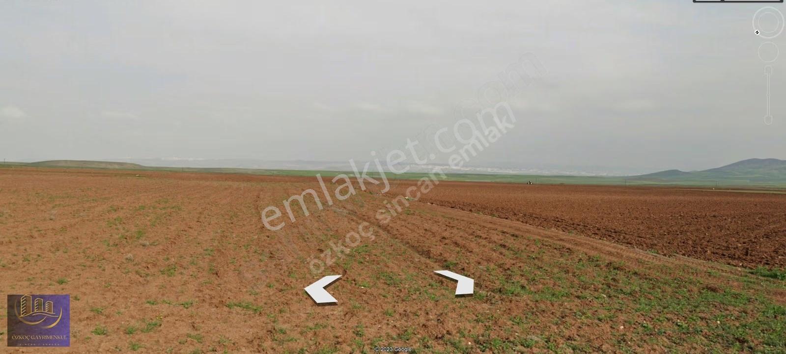 Ayaş Tekke Gülören 101 Ada 5 Parsel 1.000m² Emsalsiz Fiyat - Görsel 8