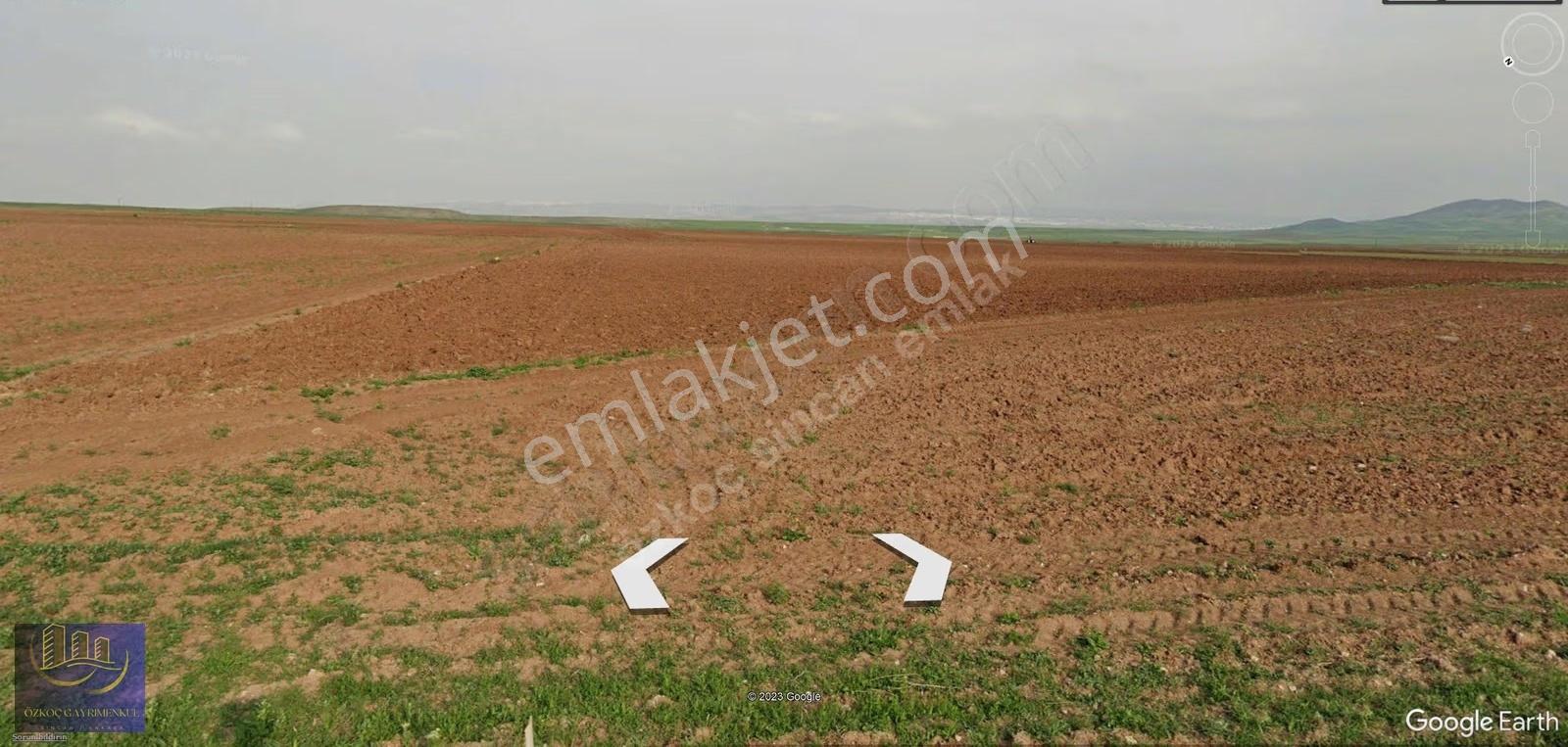 Ayaş Tekke Gülören 101 Ada 5 Parsel 1.000m² Emsalsiz Fiyat