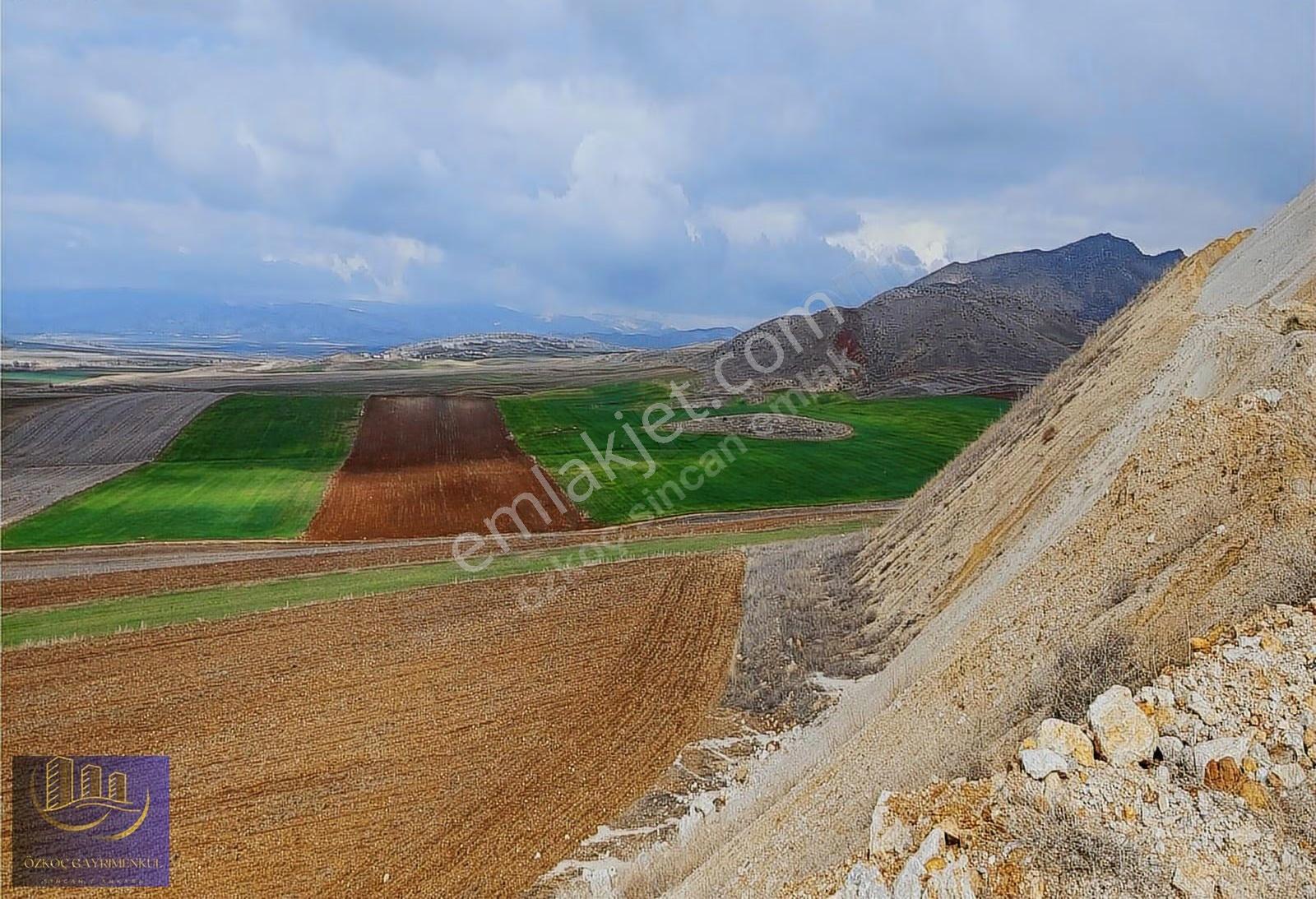 Özkoç'tan Ayaş Tekke'de Telefon Parasına 250m² Tapulu Arsa - Görsel 5