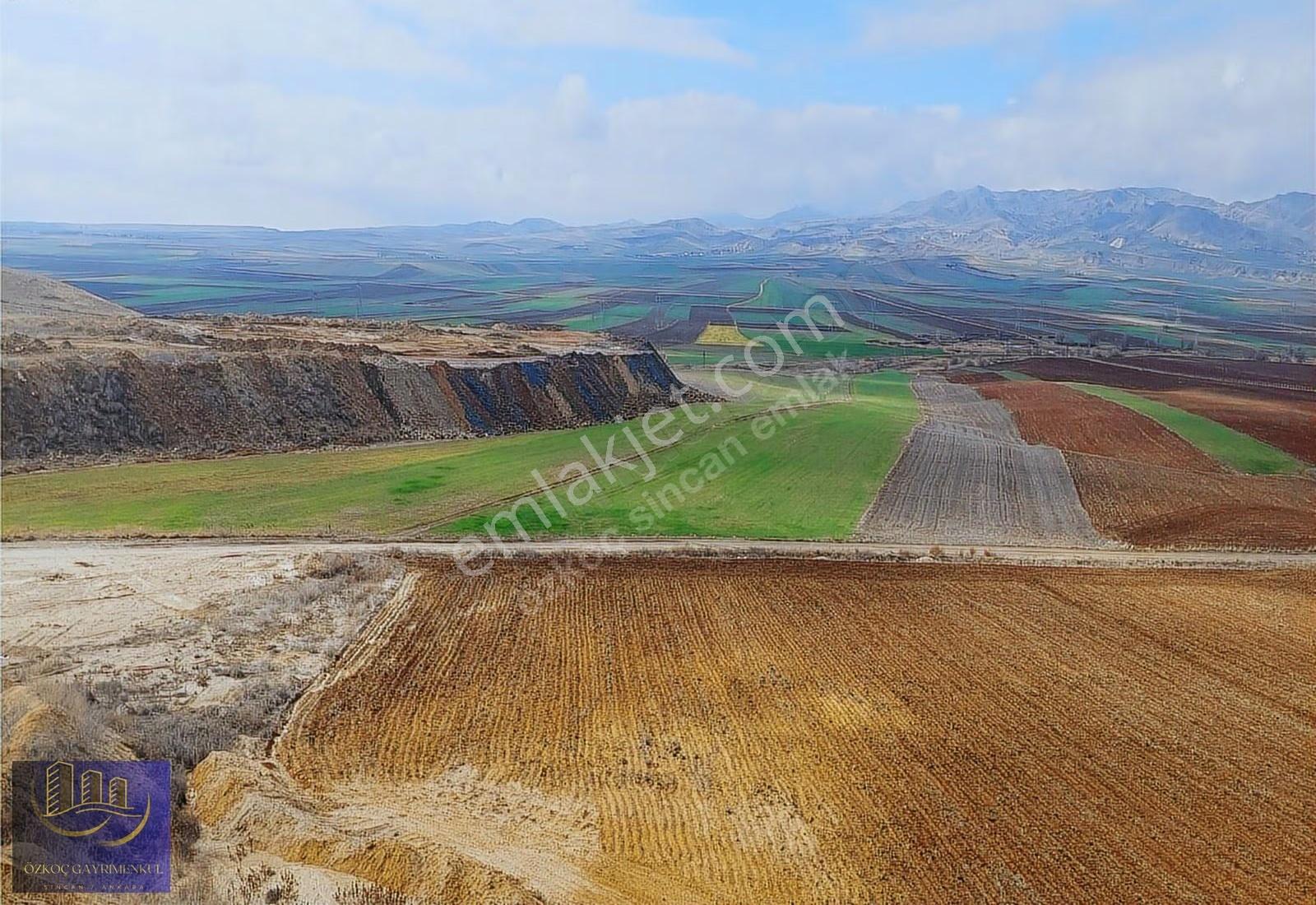 Özkoç'tan Ayaş Tekke'de Telefon Parasına 250m² Tapulu Arsa - Görsel 3