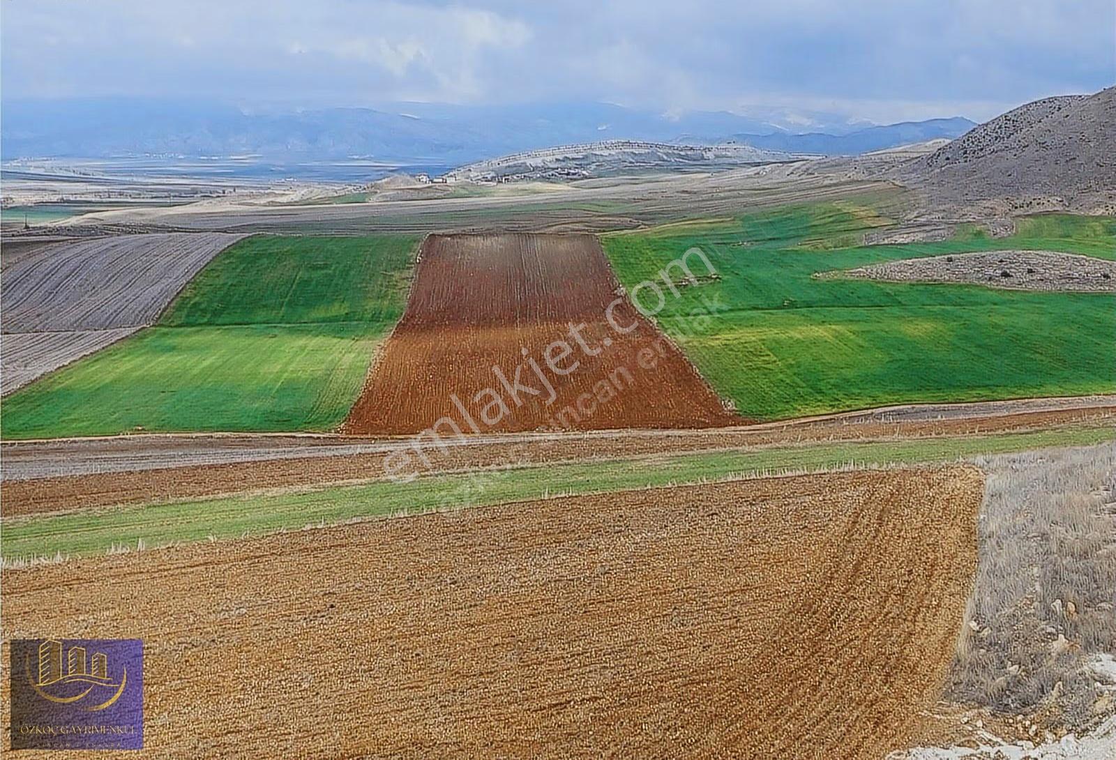 Özkoç'tan Ayaş Tekke'de Telefon Parasına 250m² Tapulu Arsa - Görsel 16