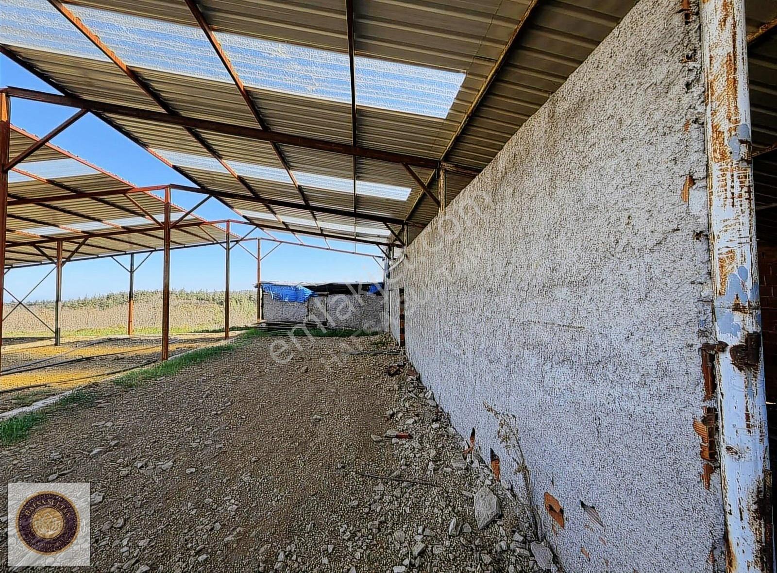 Kestel Gölcük Mh Satılık Göl Kenarı Çiftlik - Görsel 21