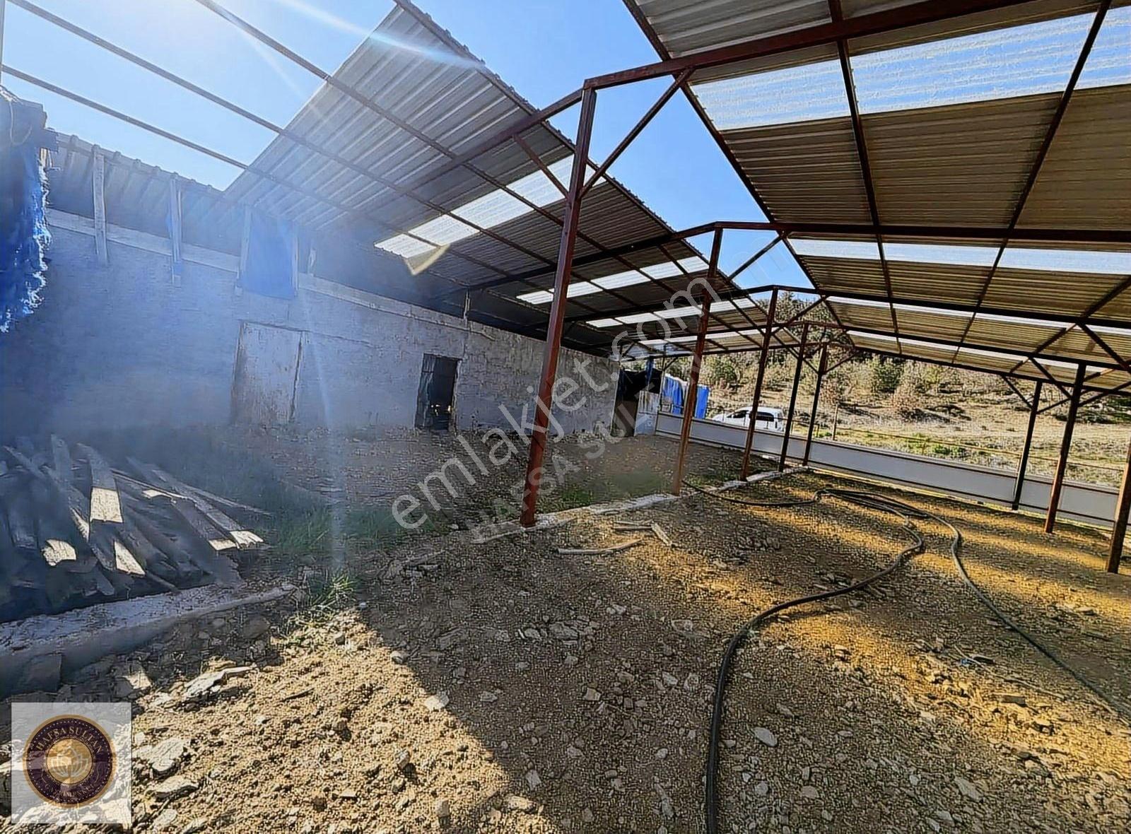 Kestel Gölcük Mh Satılık Göl Kenarı Çiftlik - Görsel 19