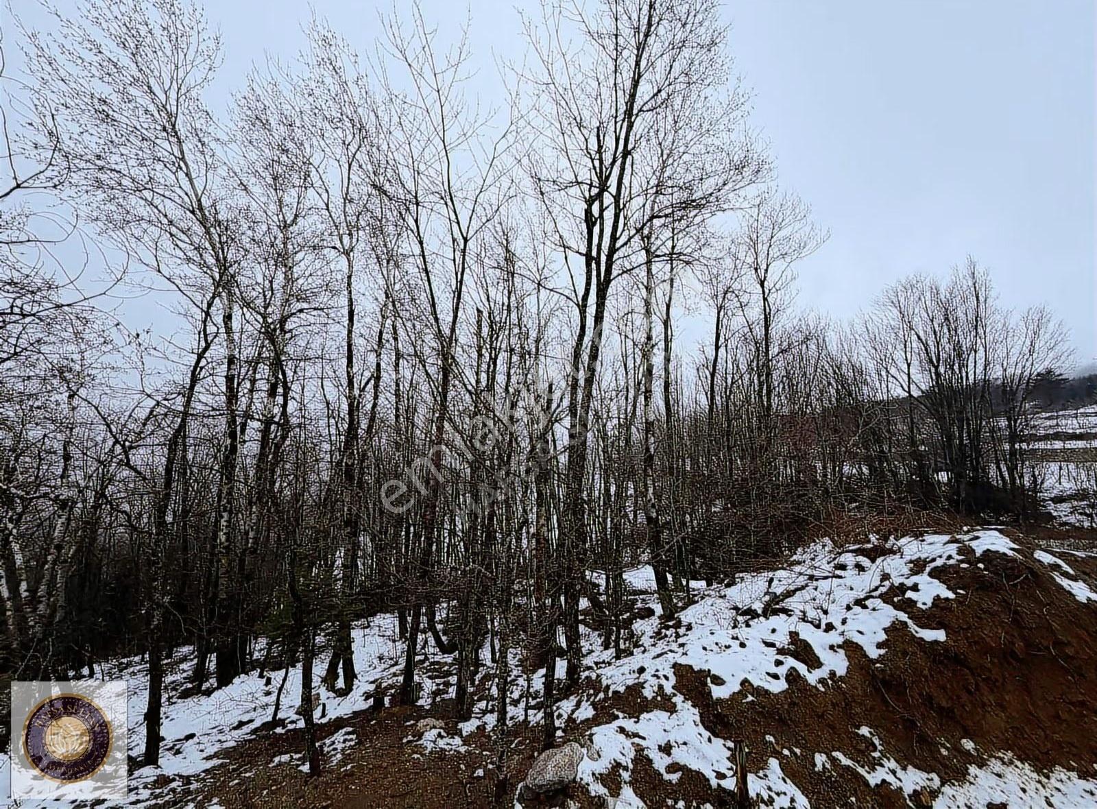 Kestel Alçam Mh Satılık 300m2 Emsalsiz - Görsel 19