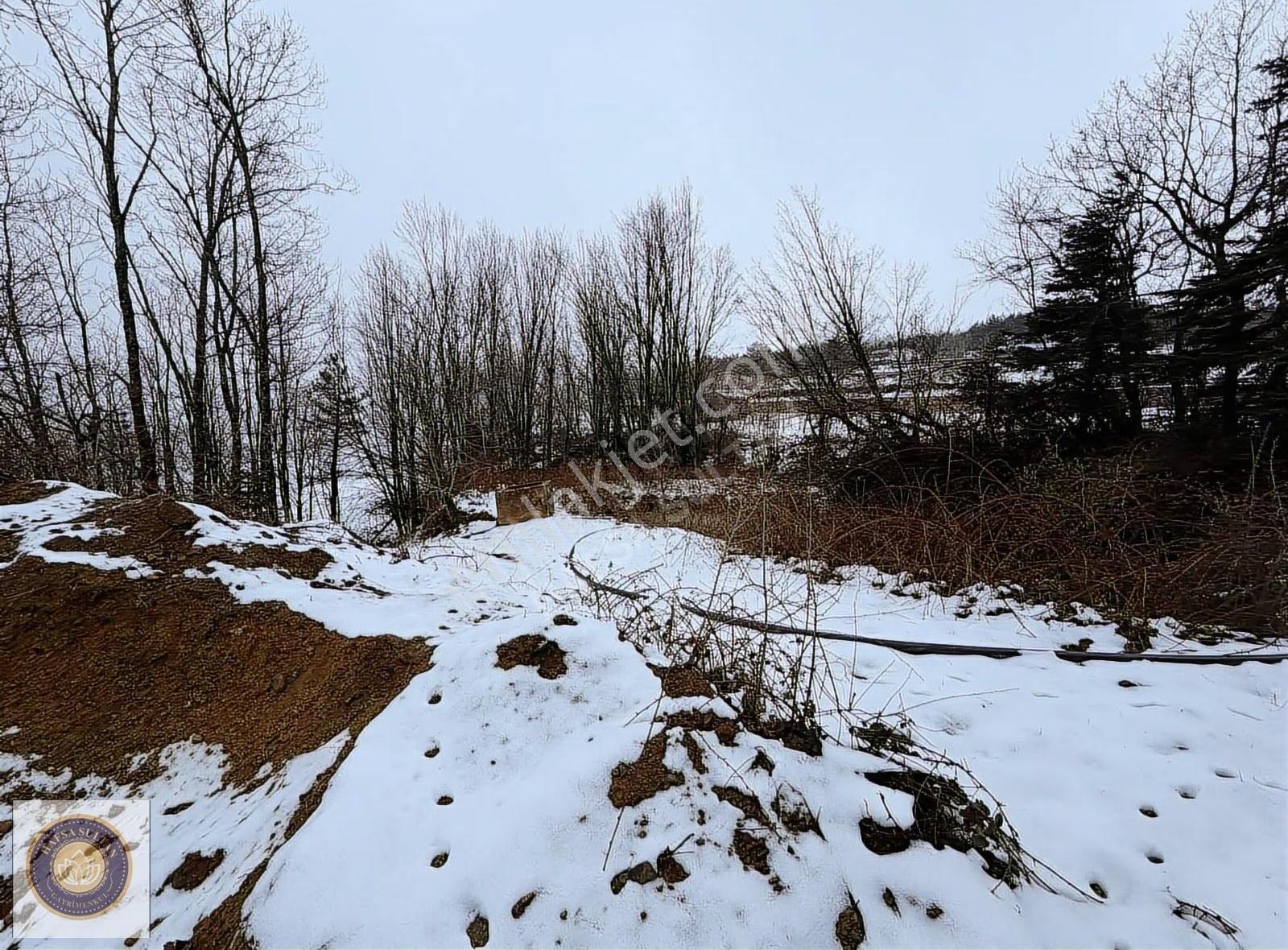 Kestel Alçam Mh Satılık 300m2 Emsalsiz - Görsel 6