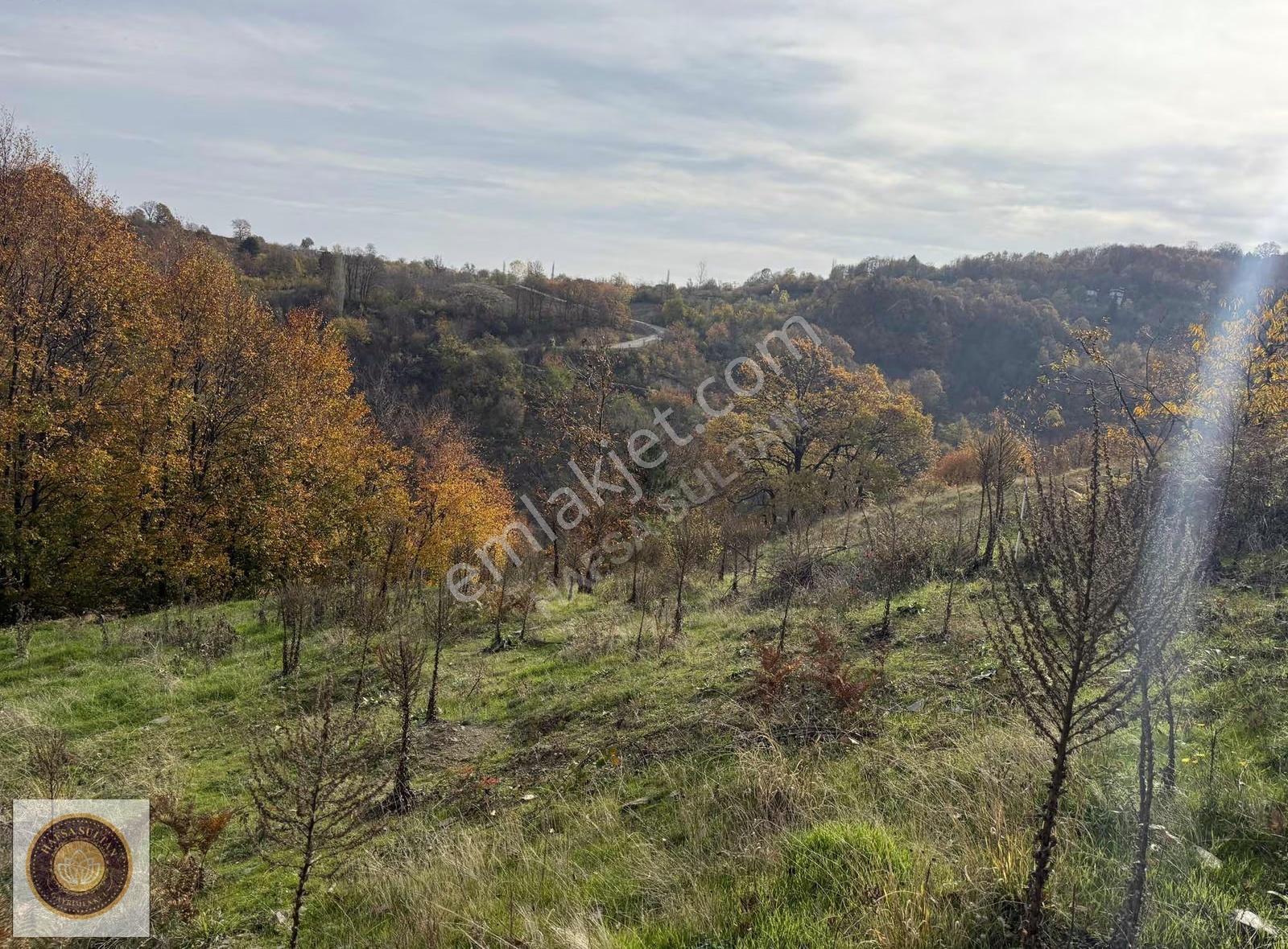 Kestel Lütfıye Mh Satılık 1806m2 Tarla Asvalt Yola Cephe - Görsel 32