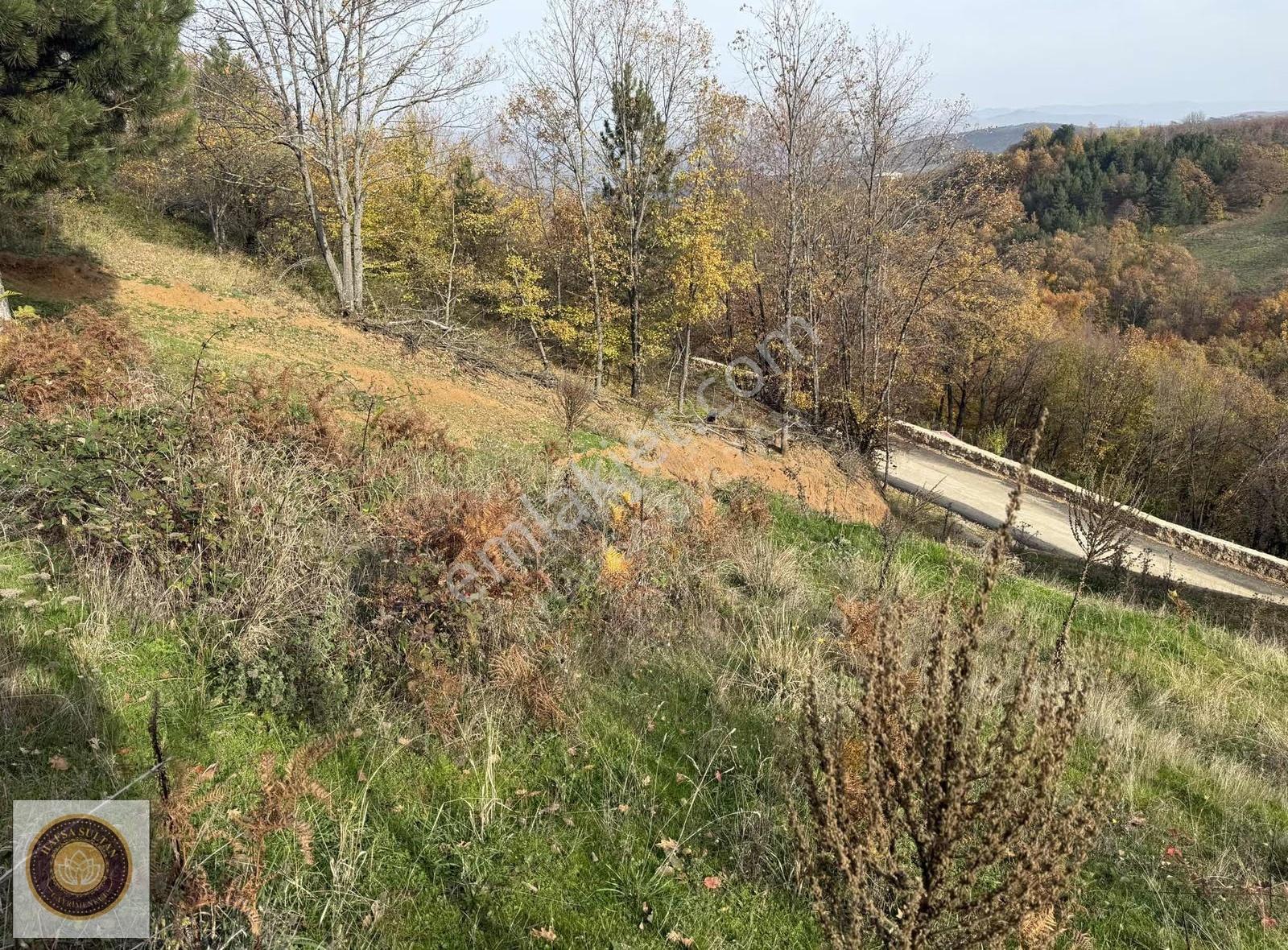 Kestel Lütfıye Mh Satılık 1806m2 Tarla Asvalt Yola Cephe - Görsel 27