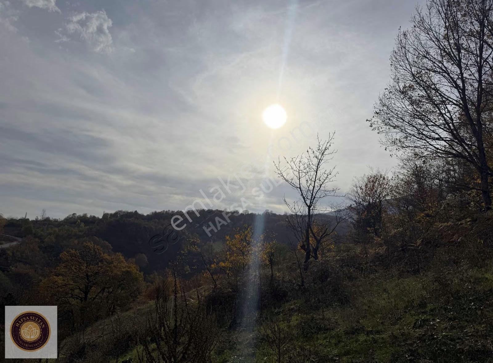 Kestel Lütfıye Mh Satılık 1806m2 Tarla Asvalt Yola Cephe - Görsel 10