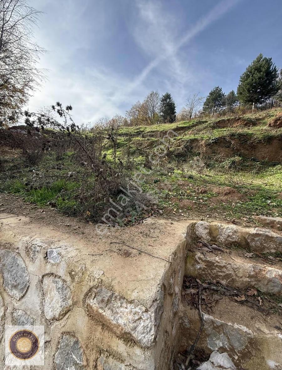 Kestel Lütfıye Mh Satılık 1806m2 Tarla Asvalt Yola Cephe - Görsel 4