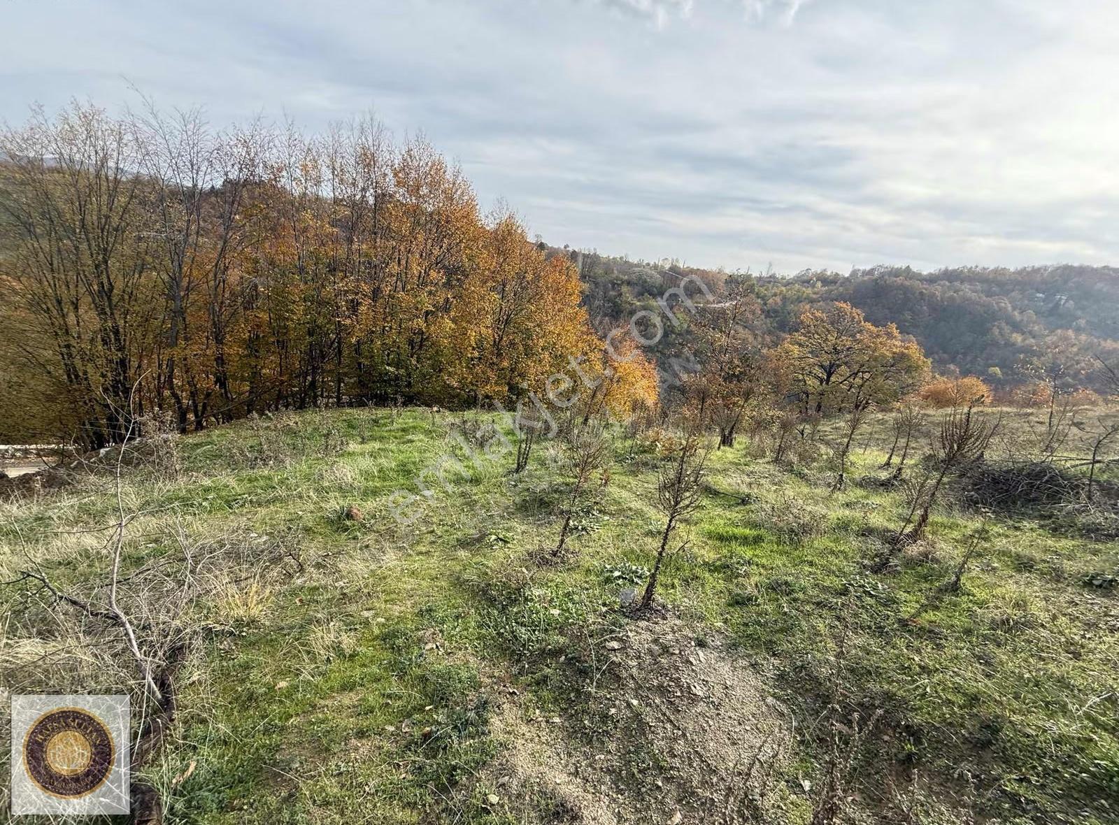Kestel Lütfıye Mh Satılık 1806m2 Tarla Asvalt Yola Cephe - Görsel 26