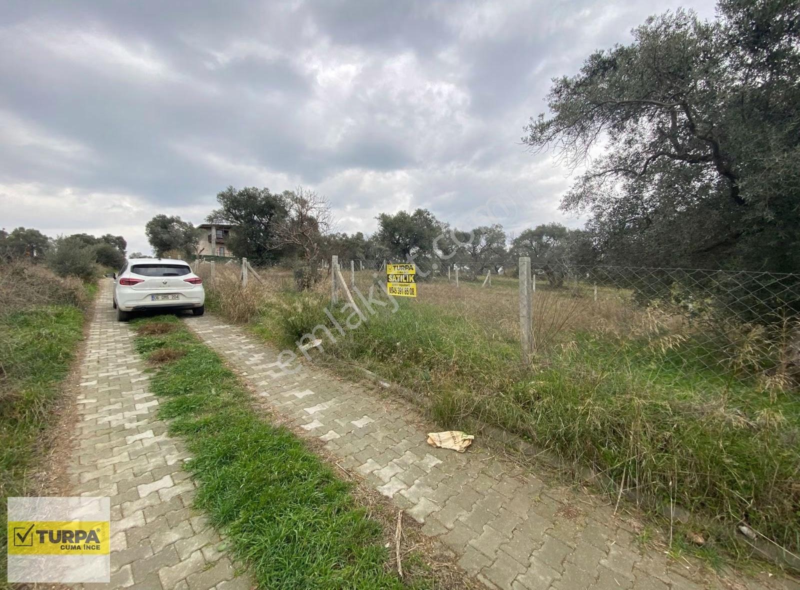 Doğancılarda Yolu Suyu Elektriği Olan 293m² Hisse Tapulu Tarla - Görsel 4
