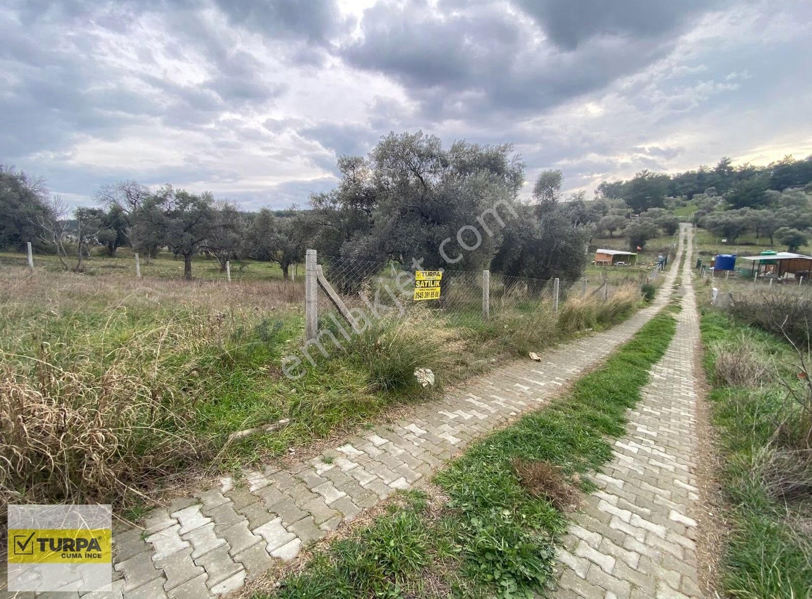 Doğancılarda Yolu Suyu Elektriği Olan 293m² Hisse Tapulu Tarla - Görsel 5
