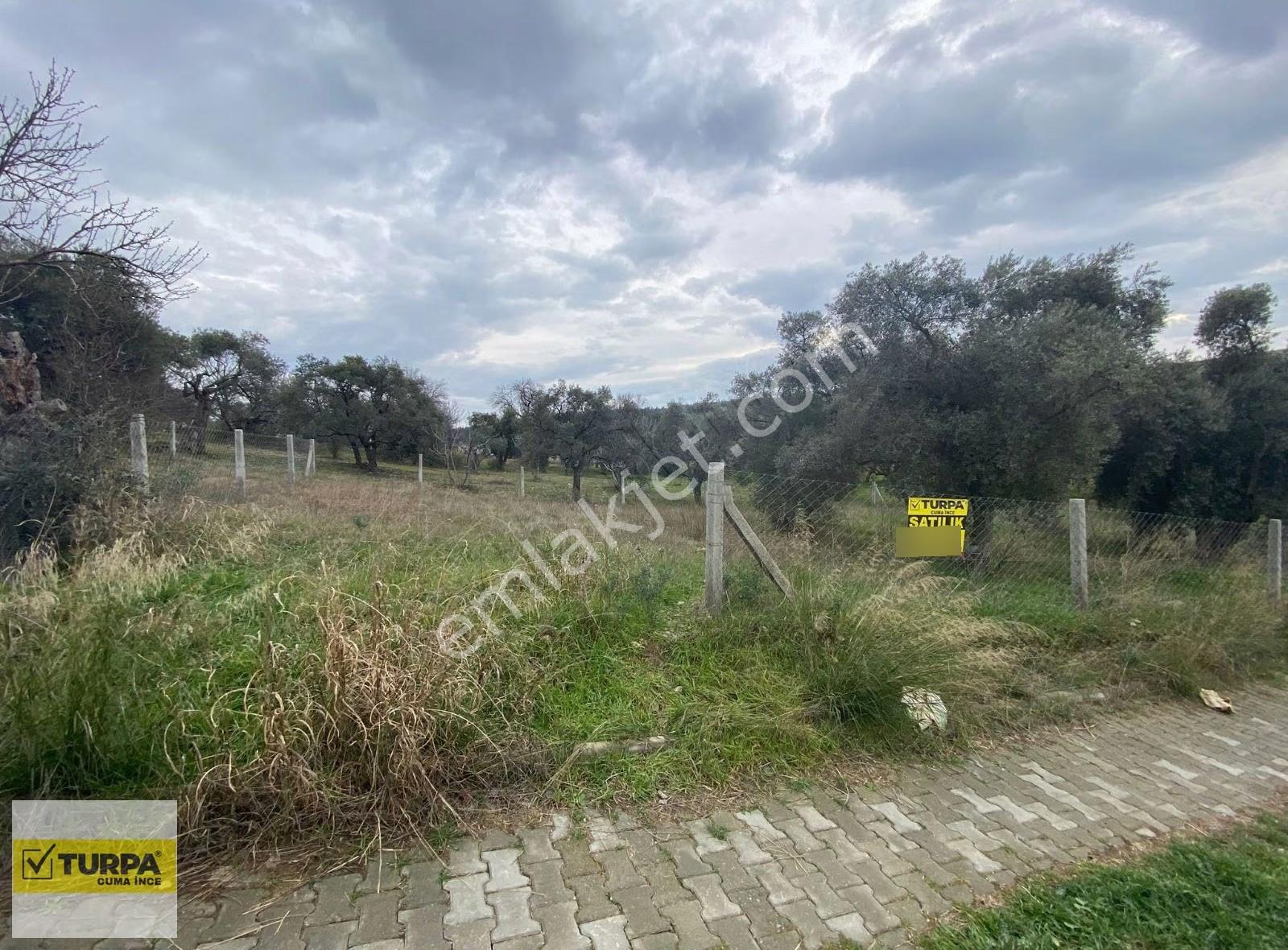 Doğancılarda Yolu Suyu Elektriği Olan 293m² Hisse Tapulu Tarla - Görsel 6
