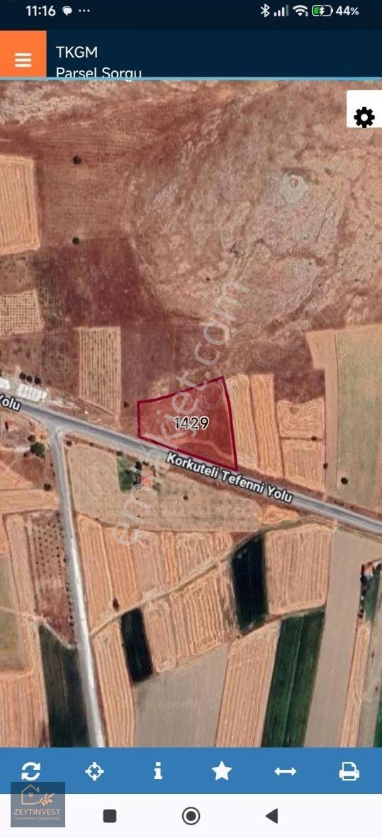 6 Dönüm!!! Kadastro Yoluna Sıfır Burdur Tefenni - Görsel 2