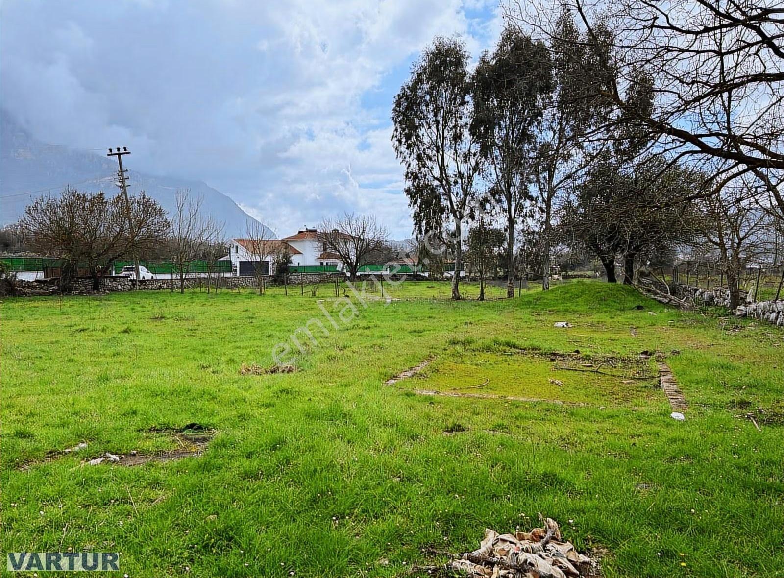 Ölü Deniz Ovacıkda Müstakil Ev Ve Arazisi - Görsel 10