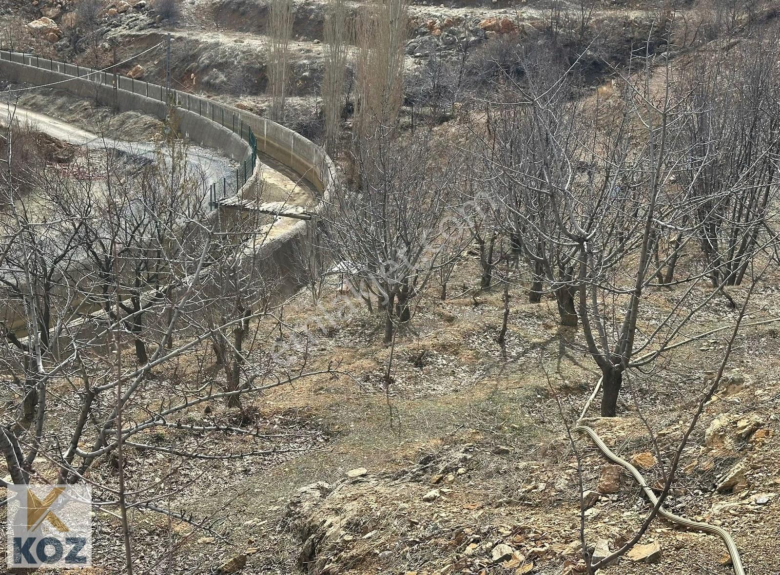 Koz Emlak'tan Kozluk Pınarbaşında Bakımlı Bahçe - Görsel 3