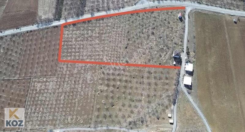 Koz Emlak'tan Yenice(köpeksizde) Yola Sıfır Satılık Bahçe+ Villa