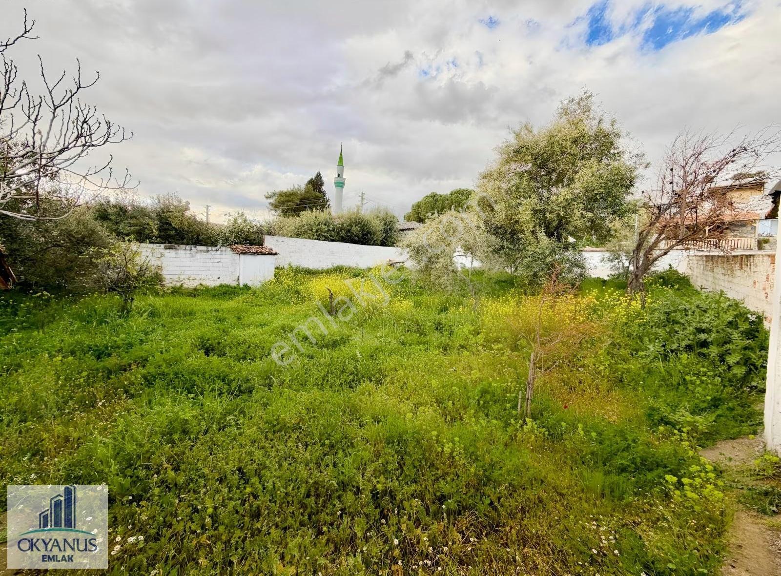 556 M2 Müstakil Köy Evi, Resmi Elektrik Suyu Var - Görsel 30