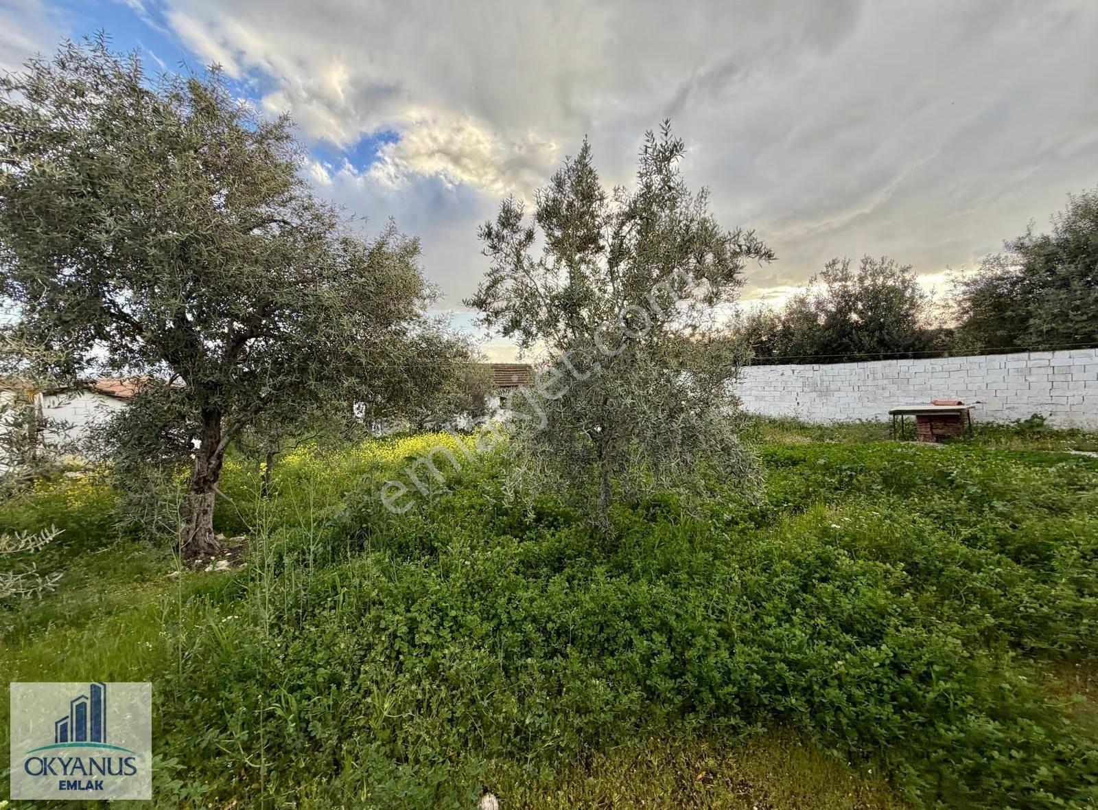 556 M2 Müstakil Köy Evi, Resmi Elektrik Suyu Var - Görsel 27
