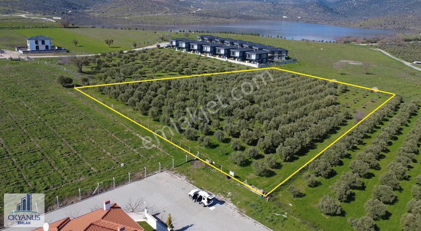 Gülbahçe Noran Villaları Yanı 7.150 M2 Tek Tapu Arazi