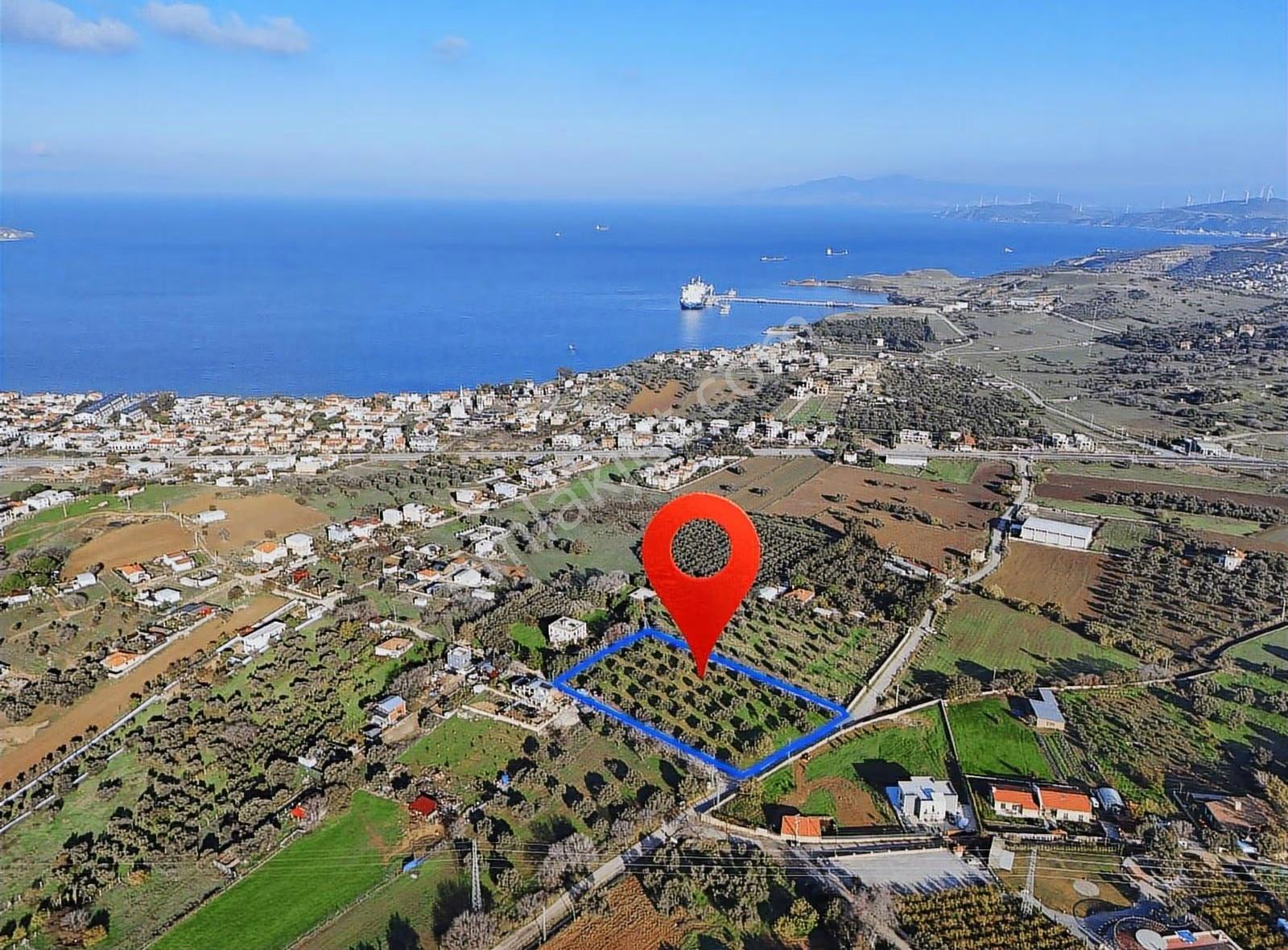 Foça Kozbeyli Deniz Manzaralı Satılık Tarla - Görsel 3