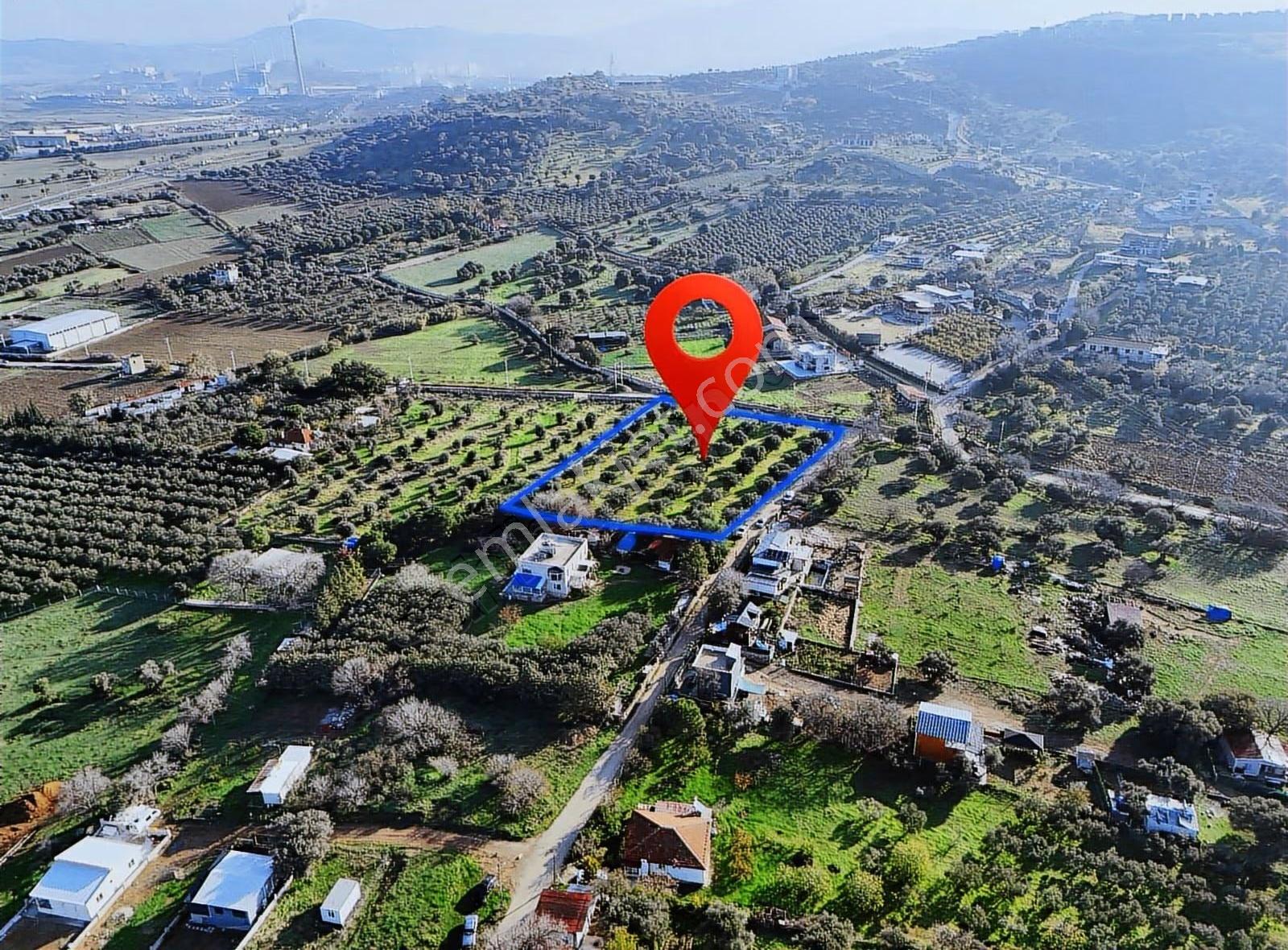 Foça Kozbeyli Deniz Manzaralı Satılık Tarla - Görsel 2