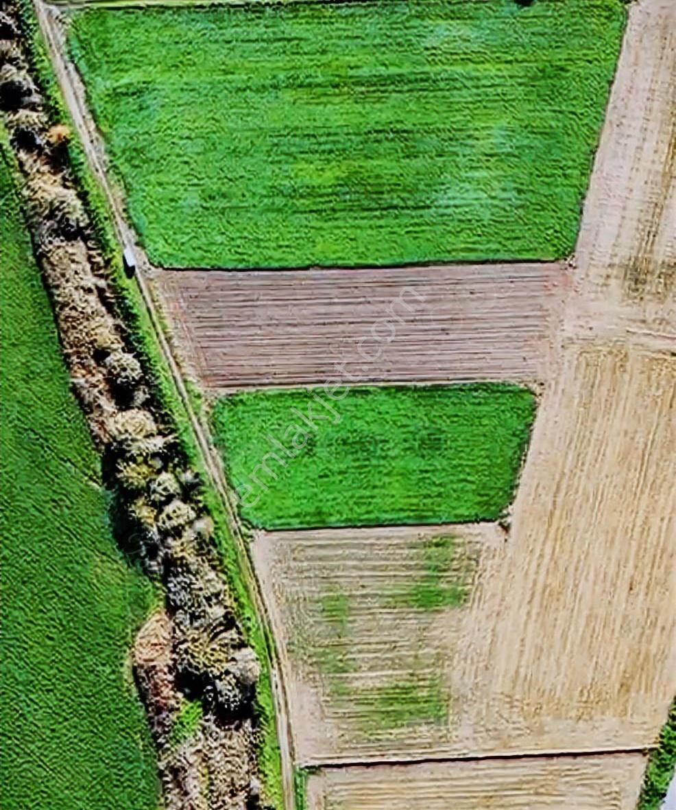 Aliağa Helvacıda 2474 M2 Satılık Tarla - Görsel 4