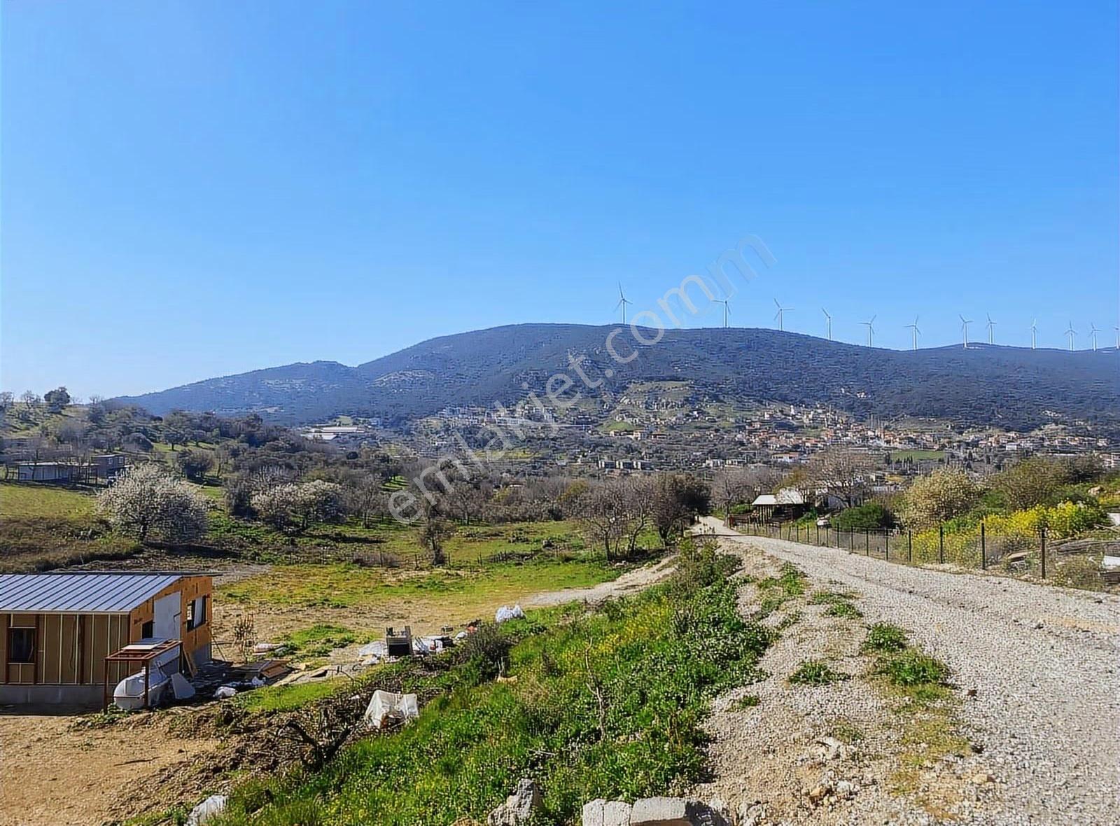 Foça Kozbeyli Mevkii Satılık Tarla - Görsel 6