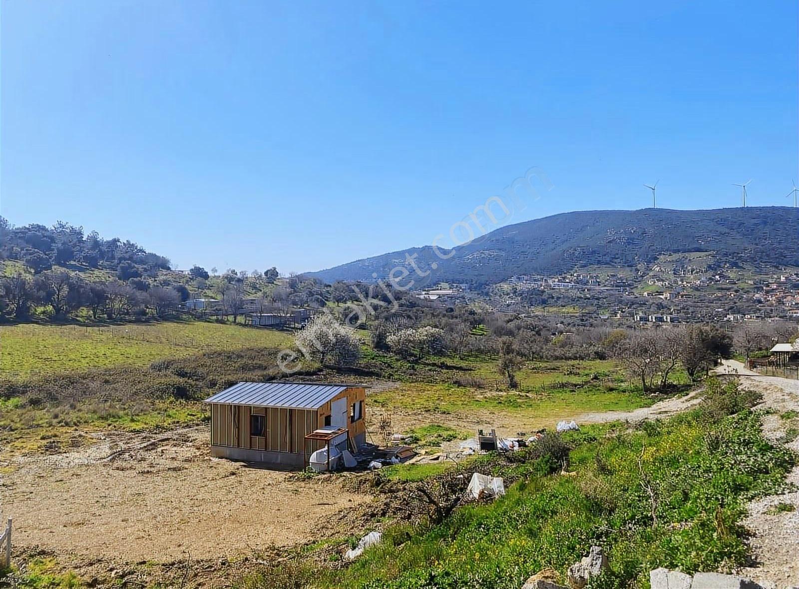 Foça Kozbeyli Mevkii Satılık Tarla - Görsel 2