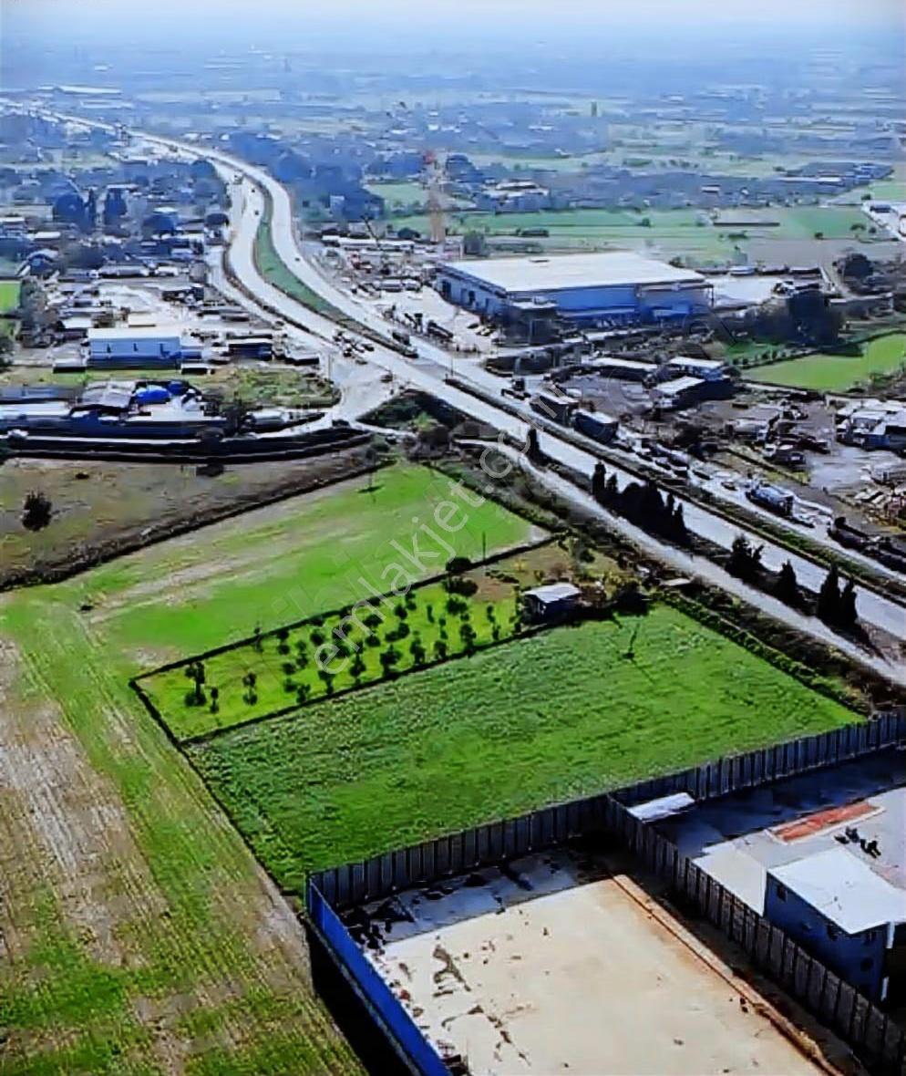 Aliağa Helvacıda 1500 Mt2 Satılık Tarla - Görsel 3