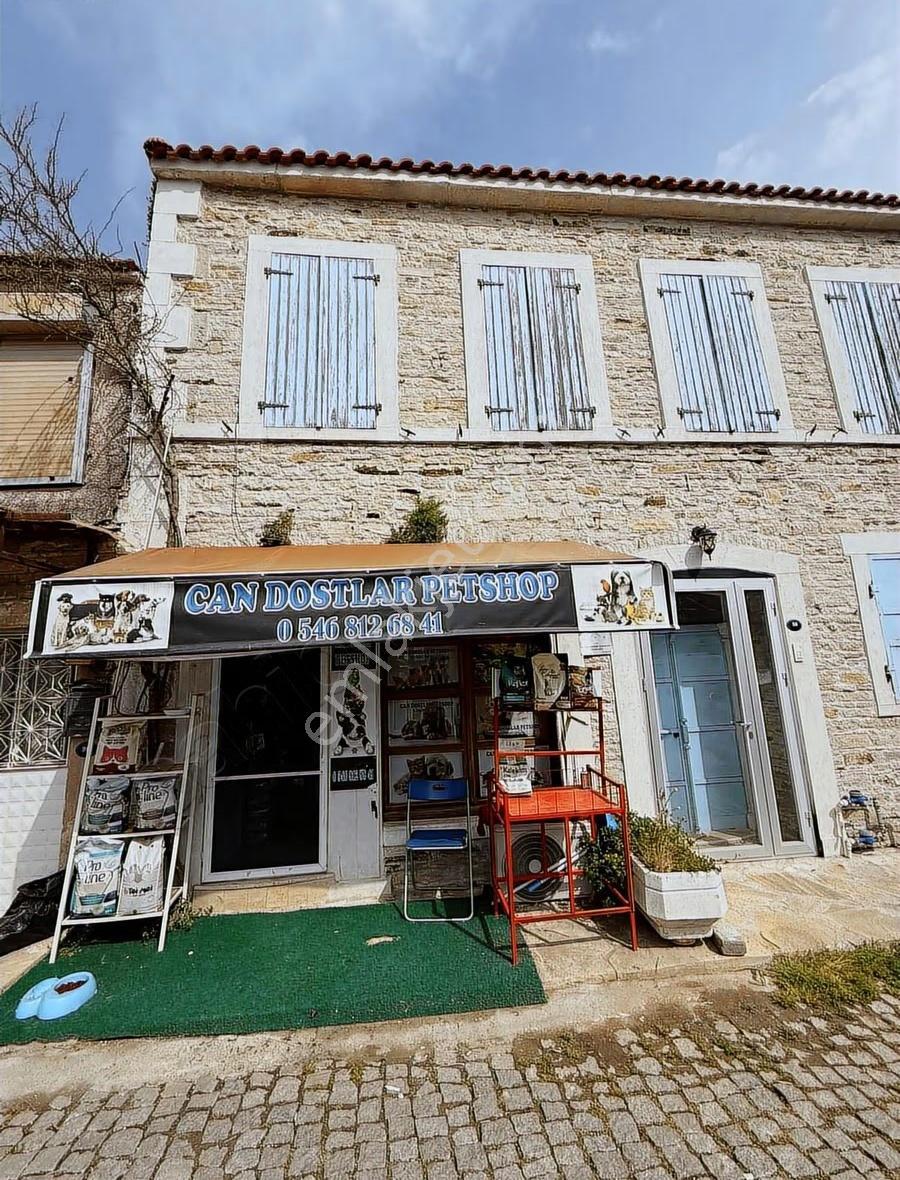 Yenifoça Merkez'de Devren Kiralık Pet Şhop - Görsel 4