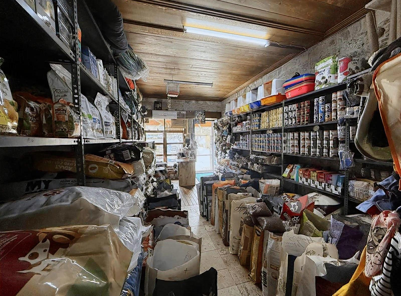 Yenifoça Merkez'de Devren Kiralık Pet Şhop - Görsel 3