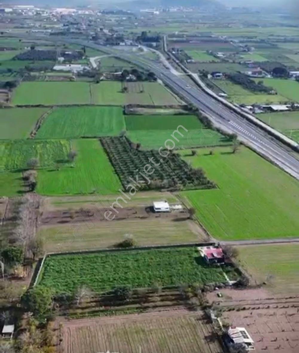 Aliağa Satılık 3114 M2 Tarla Eski Foça Yolu Yakını - Görsel 5
