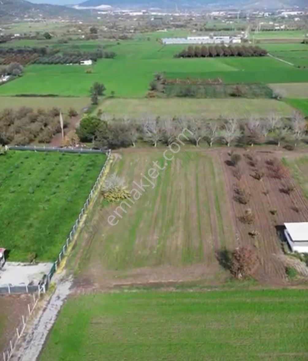 Aliağa Satılık 3114 M2 Tarla Eski Foça Yolu Yakını - Görsel 3