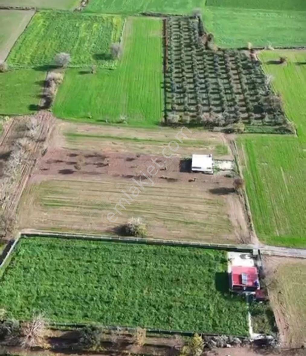 Aliağa Satılık 3114 M2 Tarla Eski Foça Yolu Yakını - Görsel 2