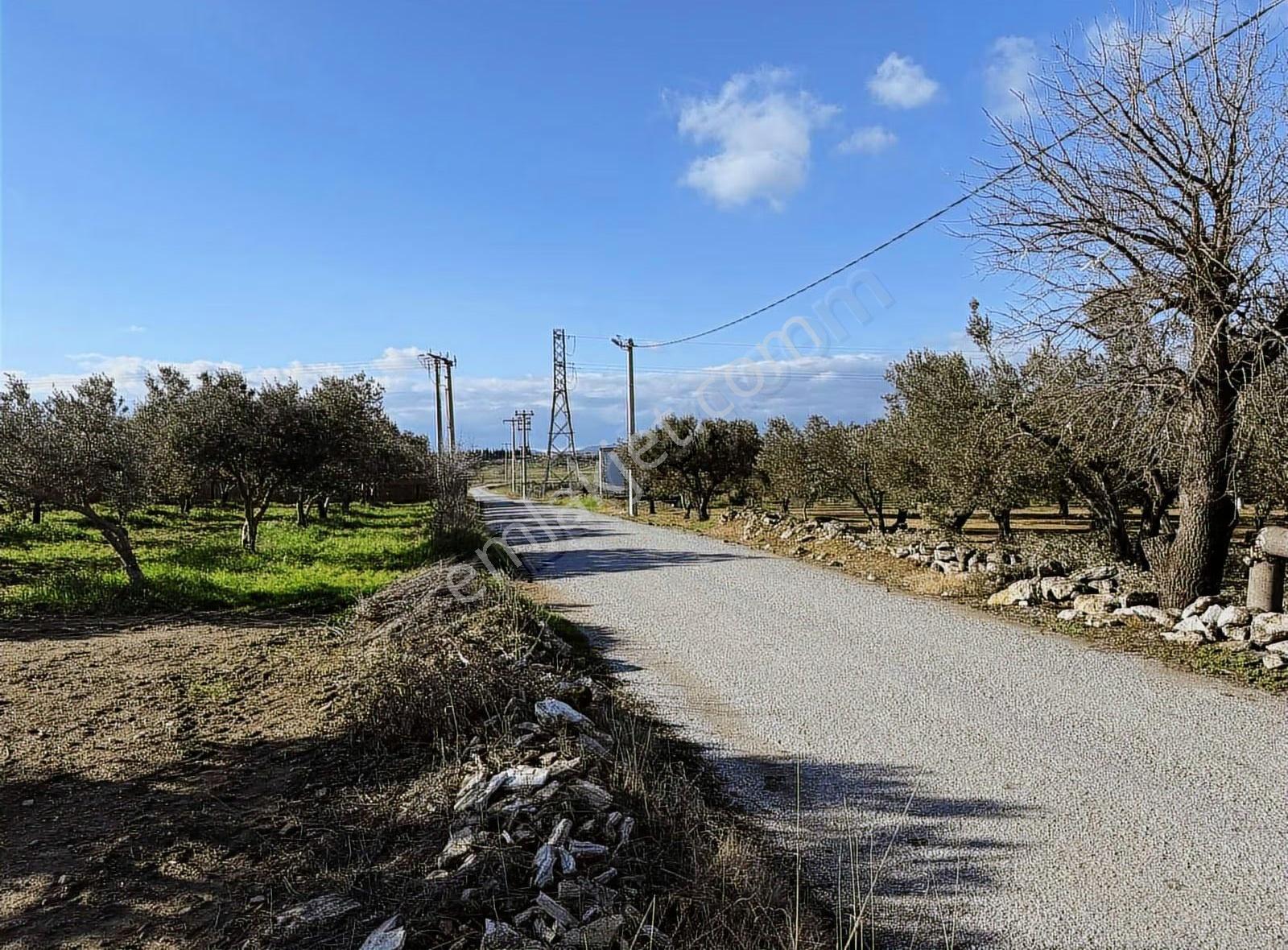 Gerenköy Yola Cephe 4.000 M2 Tarla - Görsel 8