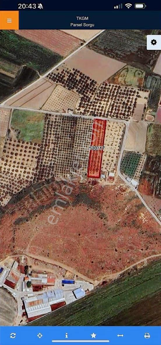Gerenköy Yola Cephe 4.000 M2 Tarla - Görsel 3