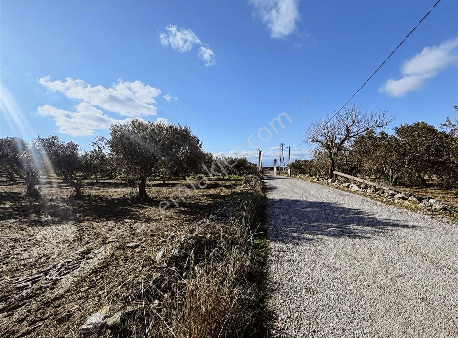 Gerenköy Yola Cephe 4.000 M2 Tarla - Görsel 4
