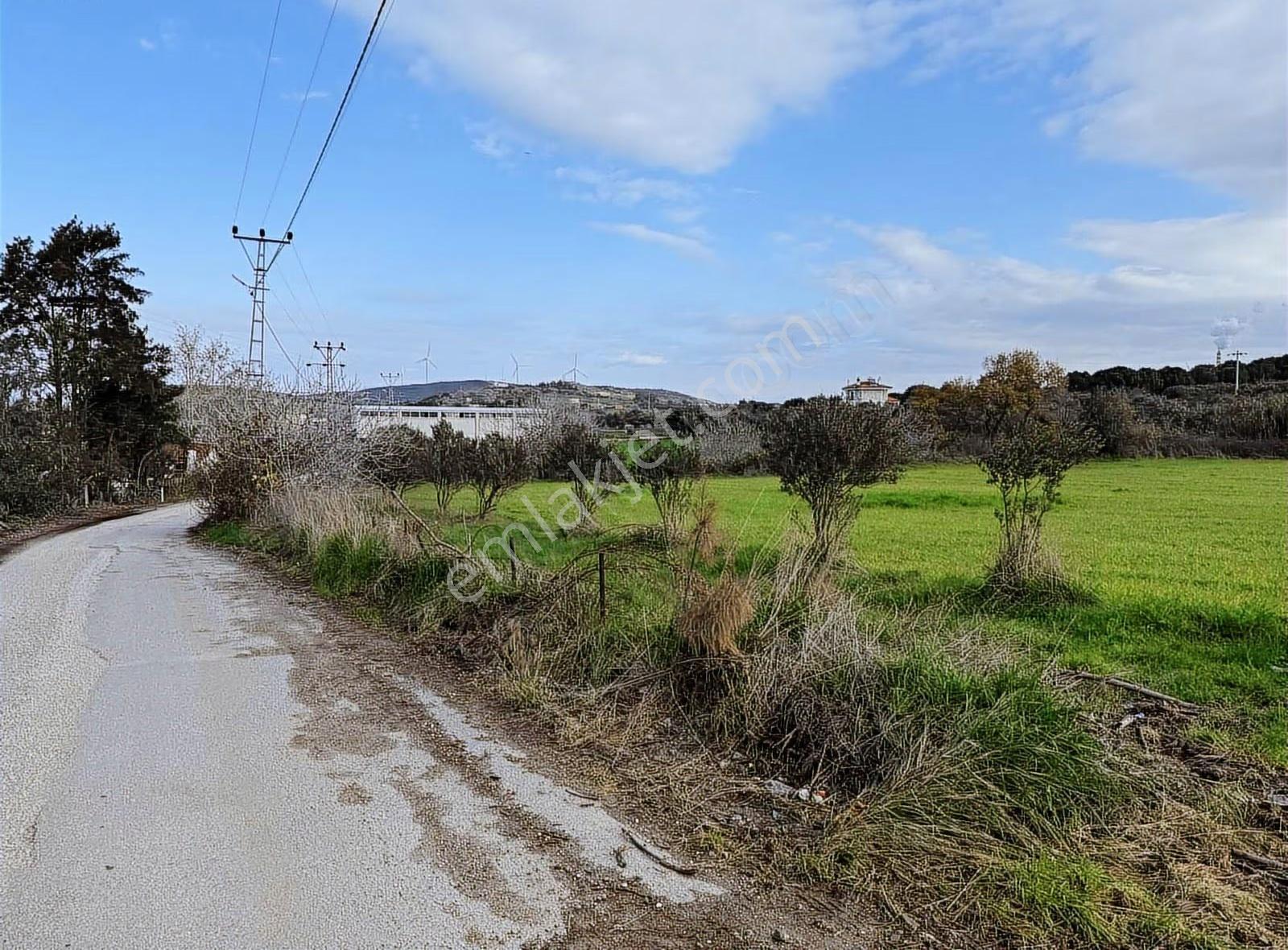Foça Kozbeyli'de Yatırımlık Ana Yola 325 Metre Satılık Tarla - Görsel 5