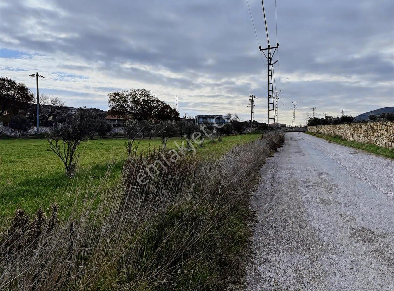 Foça Kozbeyli'de Yatırımlık Ana Yola 325 Metre Satılık Tarla - Görsel 3