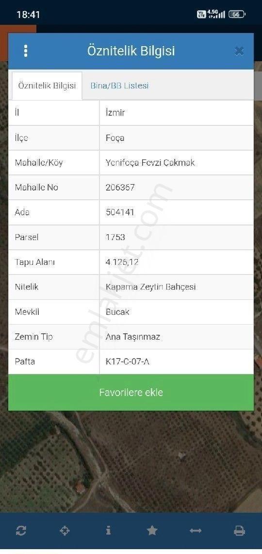 Yenifoça Bucak Mevkii Satılık Zeytinlik - Görsel 4