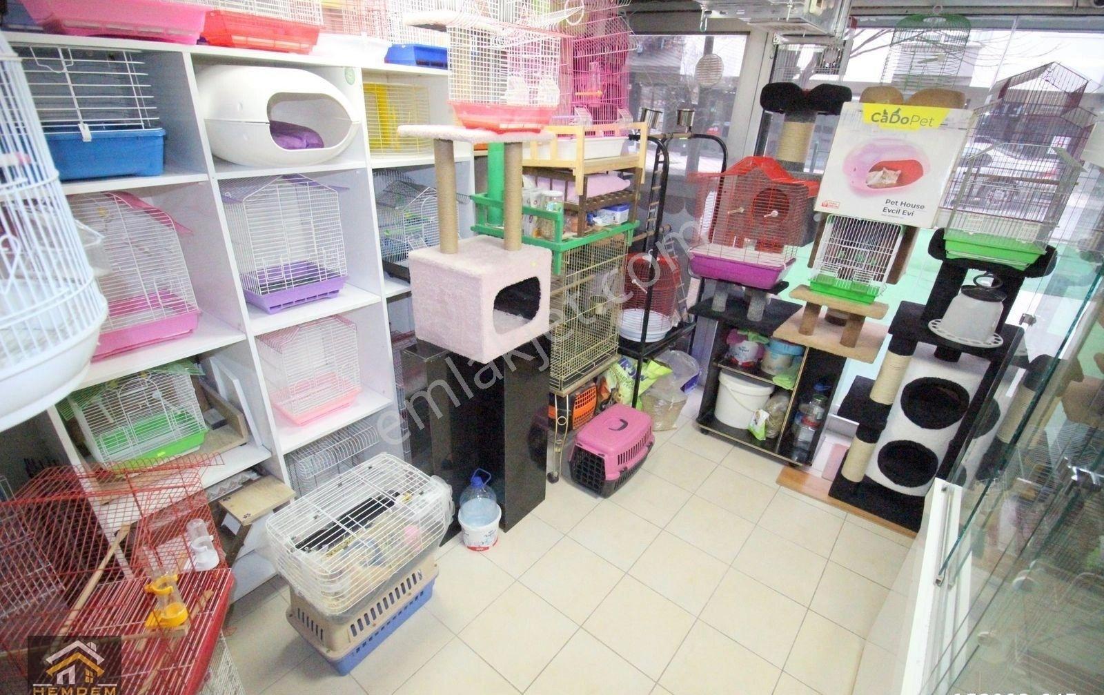 Hemdem Gayrimenkul'den Elvankent Atakentte 14.cadde Yanı Full+full Malzemeli Devren Kiralık Pet Shop - Görsel 20