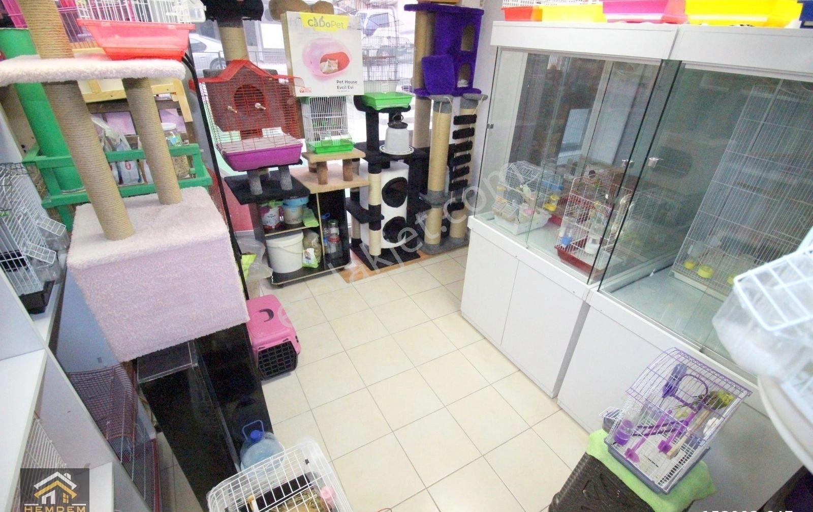 Hemdem Gayrimenkul'den Elvankent Atakentte 14.cadde Yanı Full+full Malzemeli Devren Kiralık Pet Shop - Görsel 9