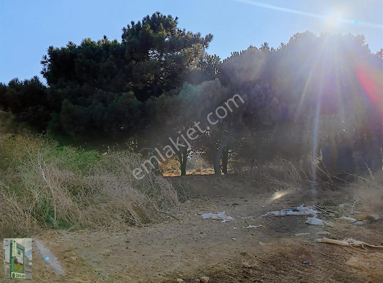 Erdek Karşıyaka Şahlan Emlaktan 4250 M2 Zeytinlik - Görsel 10