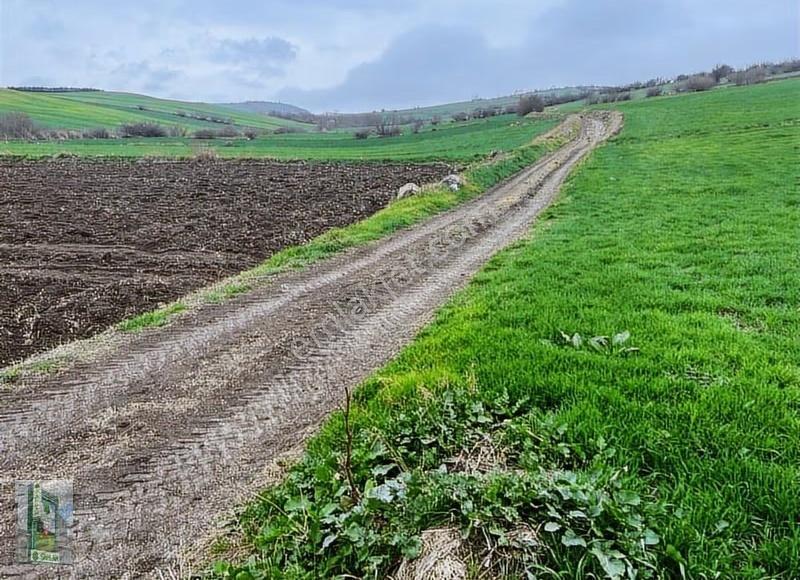 Gebecinar'da 4 Dönüm Sulamalı Satılık Tarla - Görsel 5