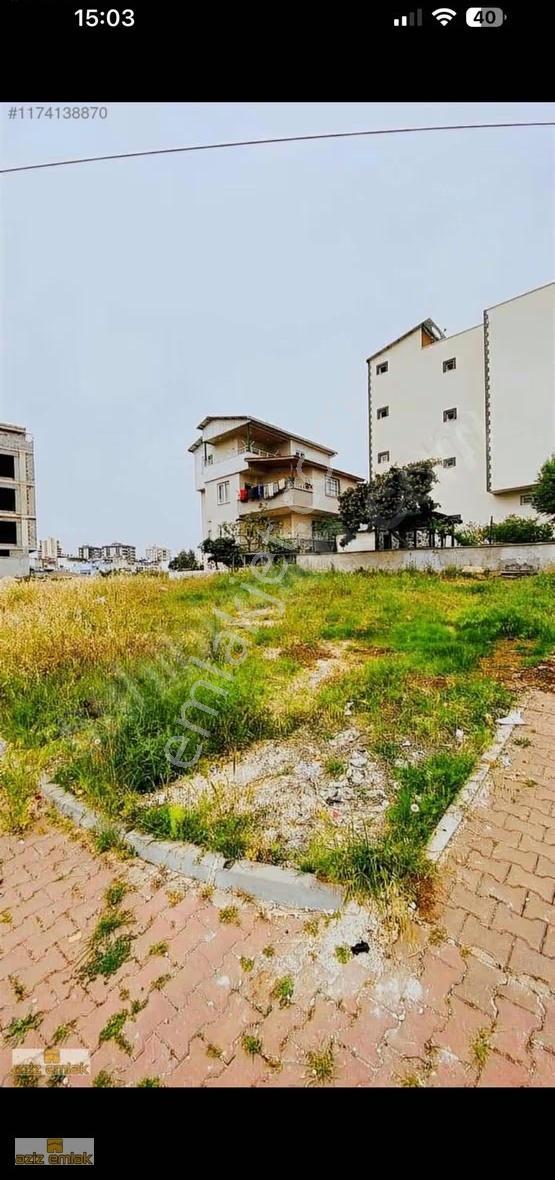 Aziz Emlak'tan Çavuşlu'da Satılık 471 Metre 1:25 Yoğ Güney Ceph - Görsel 4